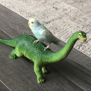 Meet your Posher, Angela